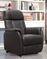 Timéo Fauteuil Releveur 2 moteurs ambiance cuir marron