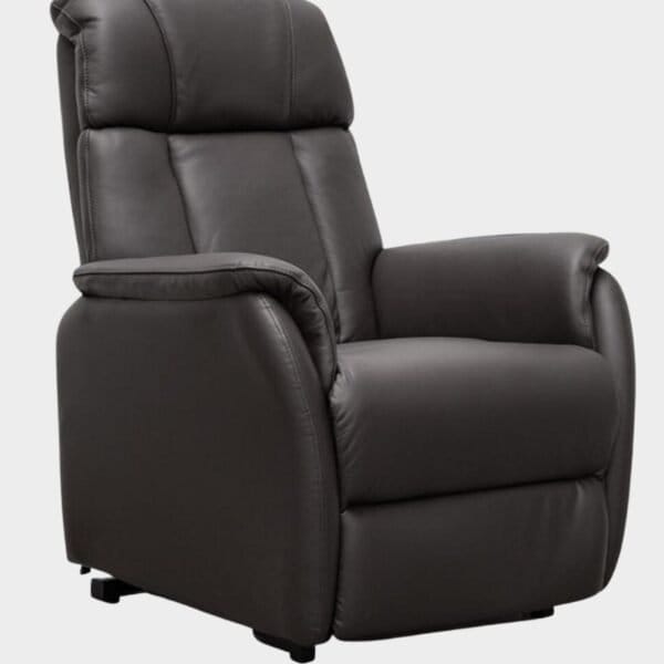 Timéo Fauteuil Releveur 2 moteurs assis cuir marron