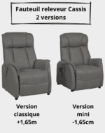 FAUTEUIL RELEVEUR 2 MOTEURS MENTON - GIS CLAIR DUO MINI